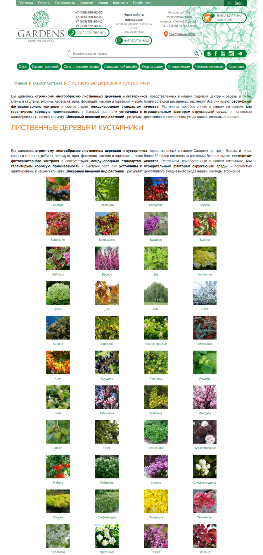 Фотографии видов растений в каталоге помогают покупателю легко ориентироваться в каталоге